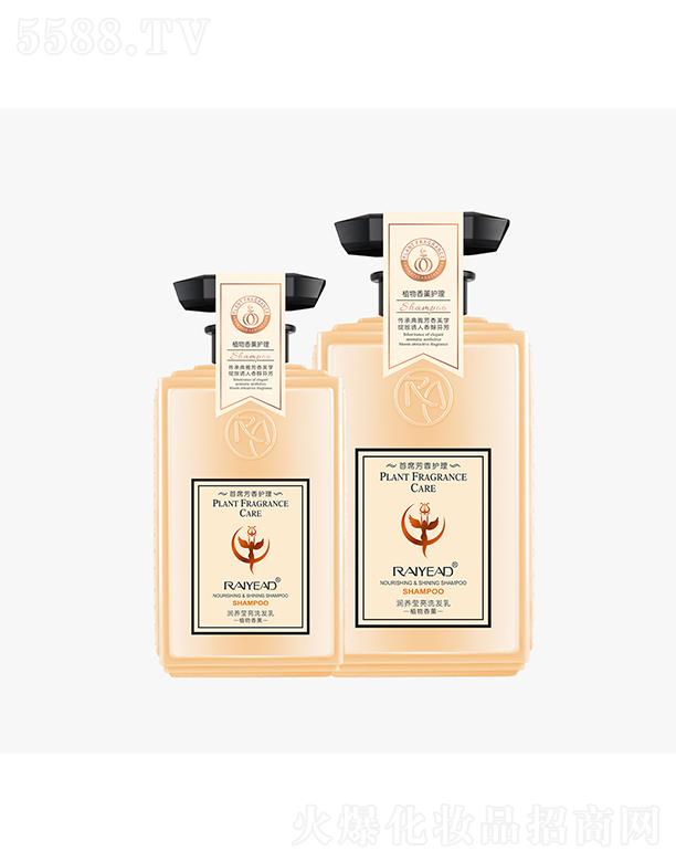 {zB(yng)ϴl(f) 500ml/800mlB(yng)g혻